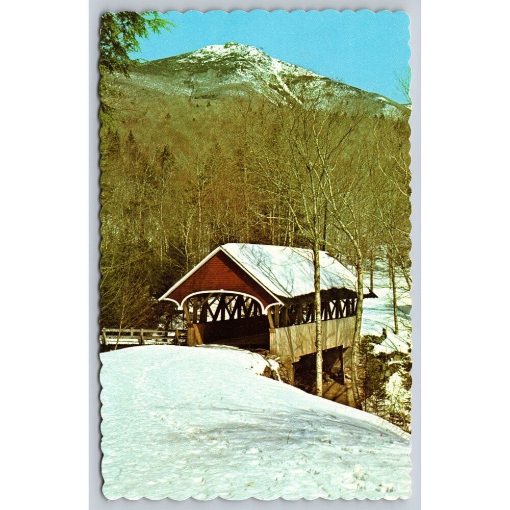 Postcard New Hampshire Franconia Notch Flume Bridge & Mt. Liberty Unposted 1984